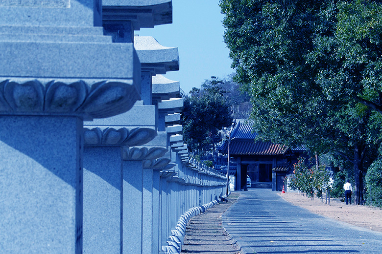 法然寺　参道の写真