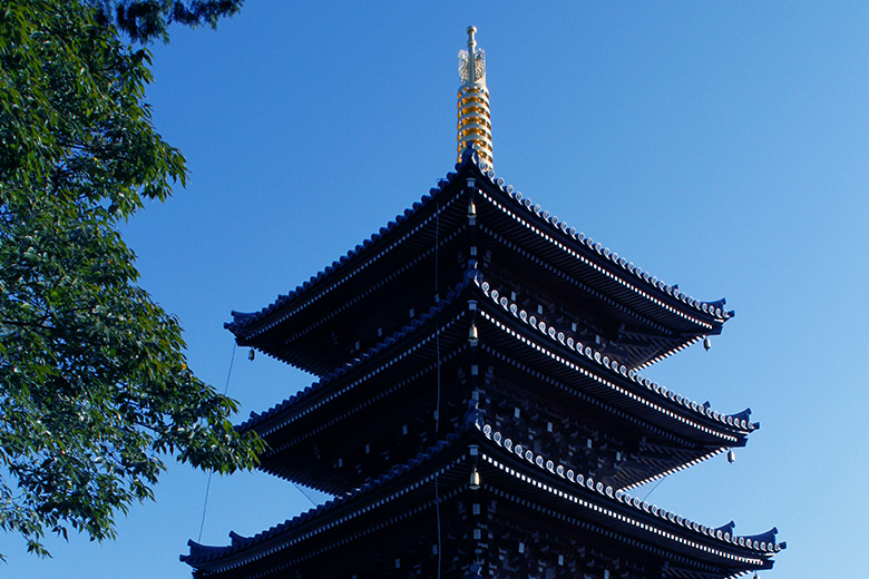 法然寺　五重塔の写真